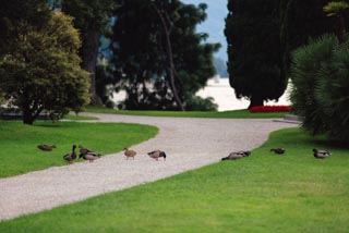 Анатолий & Кристина. Александр Уфимцев - Cвадебный и семейный фотограф: Челябинск, Екатеринбург, Миасс.