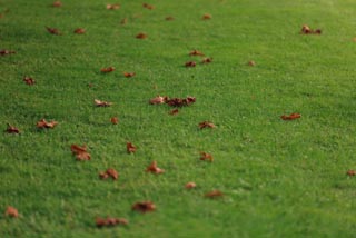 Анатолий & Кристина. Александр Уфимцев - Cвадебный и семейный фотограф: Челябинск, Екатеринбург, Миасс.